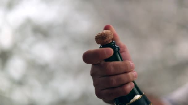 Closeup Hand Holding Champagne Bottle Opening Slow Motion — Wideo stockowe