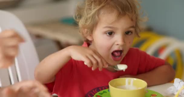 Toddler Baby Boy Eating Yogurt Home Casual Candid Family Scene — Vídeos de Stock