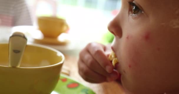Дети Крупным Планом Завтракают Утрам Маленький Мальчик Лицо Которого Покрыто — стоковое видео