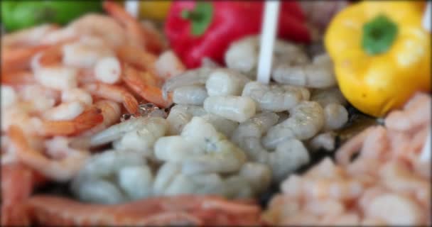 Seafood Display Market — Wideo stockowe