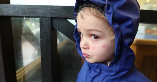 Child Boy Wearing Raincoat Looking Rainy Day — Wideo stockowe