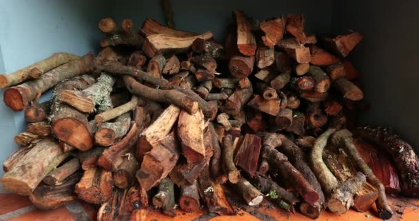 Supply Wood Bbq — Vídeos de Stock