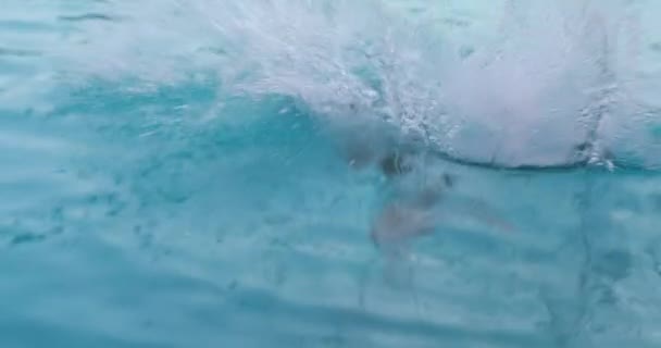Aktiver Kleiner Junge Springt Schwimmbad Und Springt Ins Wasser — Stockvideo