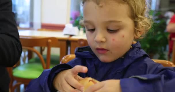 Niño Comiendo Hot Dog — Vídeos de Stock
