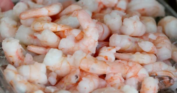 Shrimps Display Market — Wideo stockowe