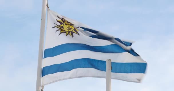 Uruguayan Flag Nation Blowing Wind — Vídeo de Stock