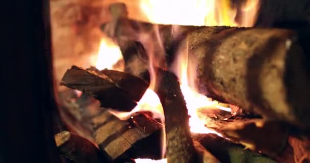 Fire Burning Sausage Grill — Stock Video