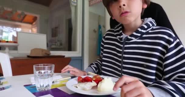 若い男の子が昼食を食べる — ストック動画
