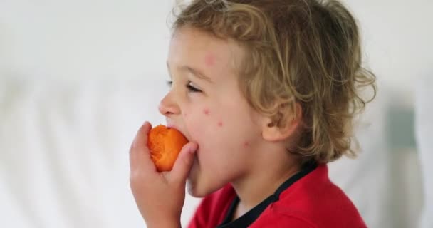 Chłopiec Dziecko Jedzenie Owoców — Wideo stockowe