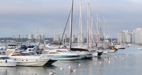 Harbor Boats Marina Pier — Vídeos de Stock
