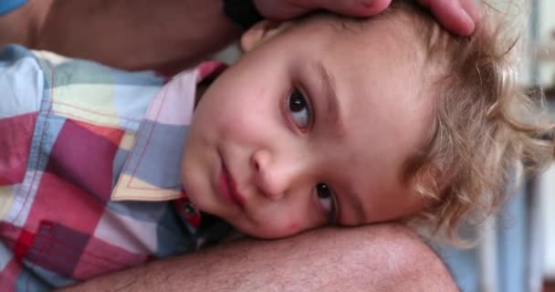 Shy Bashful Toddler Boy Bonding Father Dad Caressing Son — Video Stock