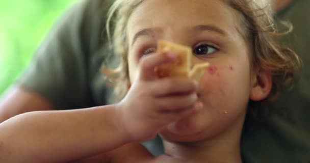 Infant Toddler Eating Cracker Biscuit — Stockvideo