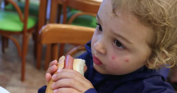 Toddler Boy Eating Hot Dog — Vídeos de Stock