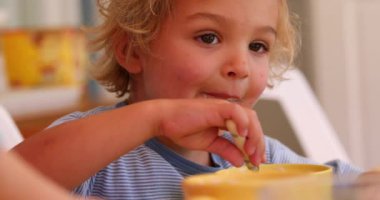 Candid infant baby boy eating yogurt seated at breakfast table