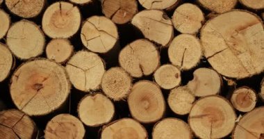 Stack piles of lumber, pieces of wood