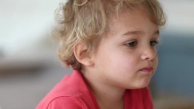 Portrait of shy bashful little toddler boy shrugging with shoulders, candid, casual, and real life