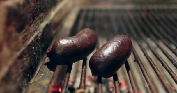 Morcilla Blood Sausage Grill — 图库视频影像