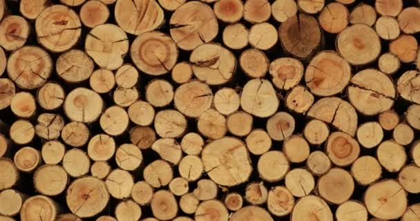 Piles Wood Stacks Lumber — Stockvideo