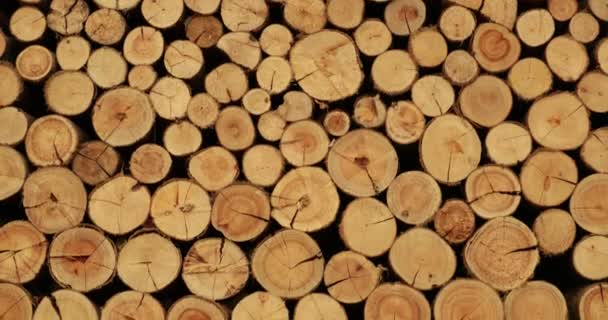 Stacks Lumber Together — Vídeo de Stock