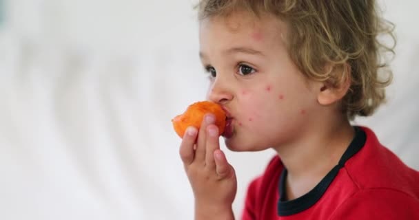Παιδί Αγοράκι Που Τρώει Φρούτα Βερίκοκου — Αρχείο Βίντεο
