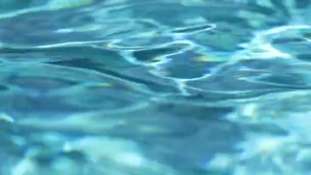 Water Pool Surface Swimming Pool Clear Water — Video