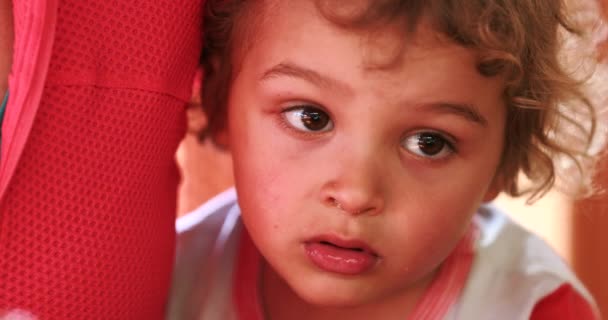 Infant Small Boy Portrait Face Thinking — Wideo stockowe