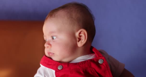 Adorable Cute Baby Boy Learning Observing World — Stok Video