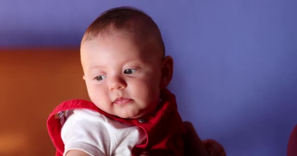 Portrait Cute Baby Boy Observing Learning World Color Contrast — Video