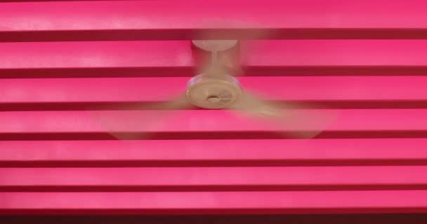 Ανεμιστήρα Ανεμιστήρα Ροζ Φωτεινό Φόντο Μοτίβα Χρώματος — Αρχείο Βίντεο