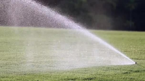 Garden Water Sprinkler Slow Motion 120Fps — Stock video