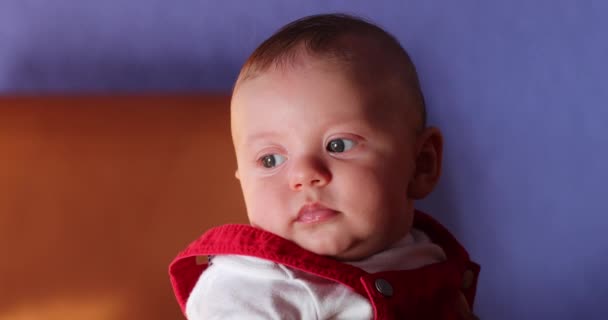 Portrait Cute Adorable Baby Boy Observing World — Video