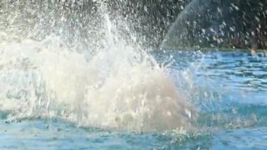 Children jumping into swimming pool water and re-emerging to water surface