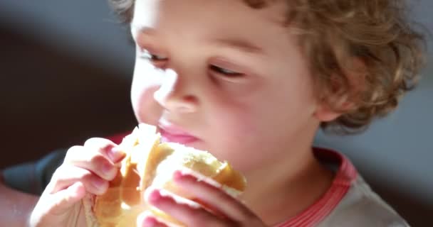 Niño Pequeño Comiendo Sándwich Niño Tomando Bocado Pan Con Jamón — Vídeos de Stock