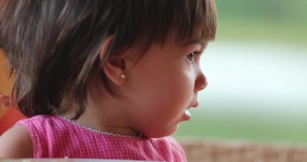 Retrato Perfil Niña Pequeña Que Mira Pensamiento Distancia — Vídeo de stock