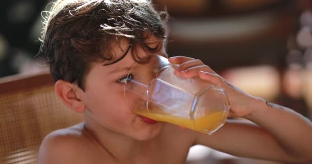 Ένα Μικρό Αγόρι Πίνει Χυμό Πορτοκάλι — Αρχείο Βίντεο