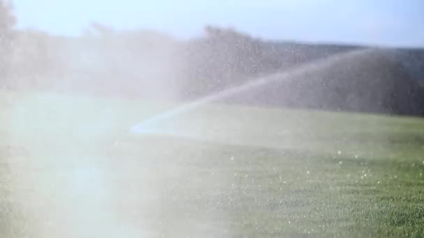 Garden Water Sprinklers Slow Motion 120Fps — Stockvideo