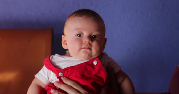 Handsome Baby Boy Portrait Wearing Red Clothing Blue Background Color — Video