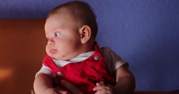 Portrait Handsome Baby Observing Wearing Red Clothing Blue Background — Video
