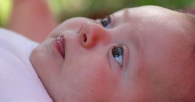 Baby newborn infant closeup face outdoors