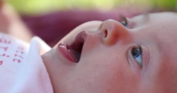 Beautiful Baby Newborn Infant Closeup Face — Stock videók