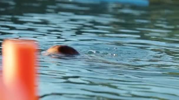 Little Girl Pool Emerging Water Surface — Video