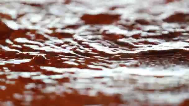 Red Water Surface Pond Lake Reflection — Stockvideo