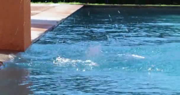 Kinder Spielen Schwimmbad Und Springen Ins Wasser — Stockvideo