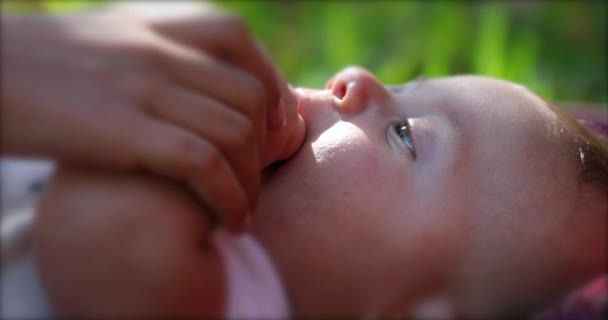 Newborn Baby Infant Lying Grass Outdoors Dreamy Day — Vídeo de Stock