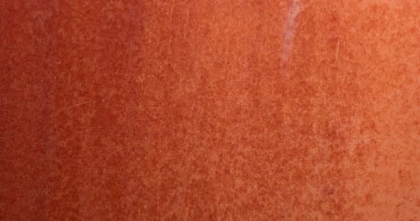 Grungry Rusty Orange Background Surface — Stockvideo