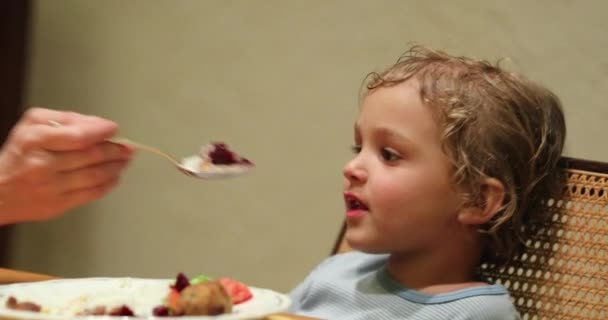 Feeding Toddler Supper Dinner Time — Stockvideo
