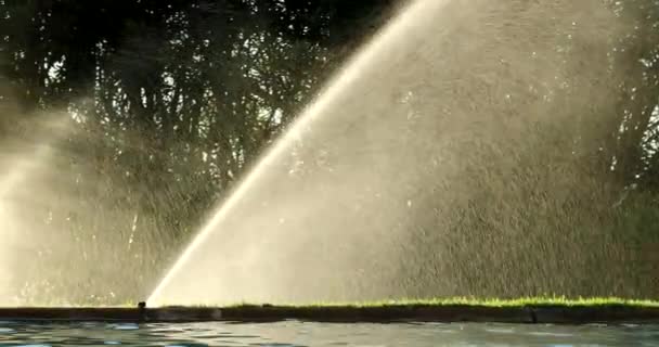 Water Sprinkles Watering Lawn Garden Irrigation — Wideo stockowe