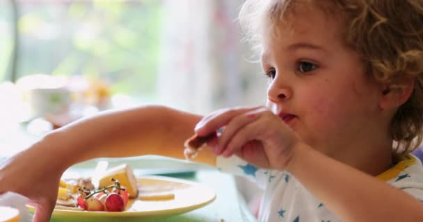 Маленький Хлопчик Витирає Серветкою Вранці Сніданок — стокове відео