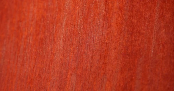 Rustic Metallic Structure Surface Orange Background — ストック動画