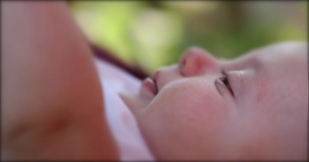 Newborn Baby Infant Lying Grass Outdoors Dreamy Day4 — Vídeo de Stock